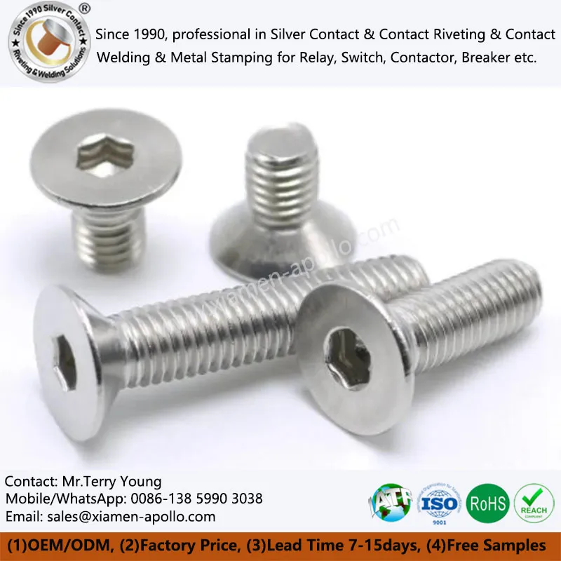 Roestvrijstalen schroeven met platte kop zeshoek